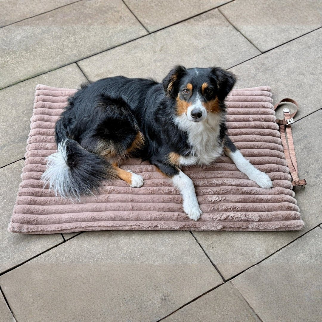 Reisedecke Premium Travel Mocha - WOOFED.