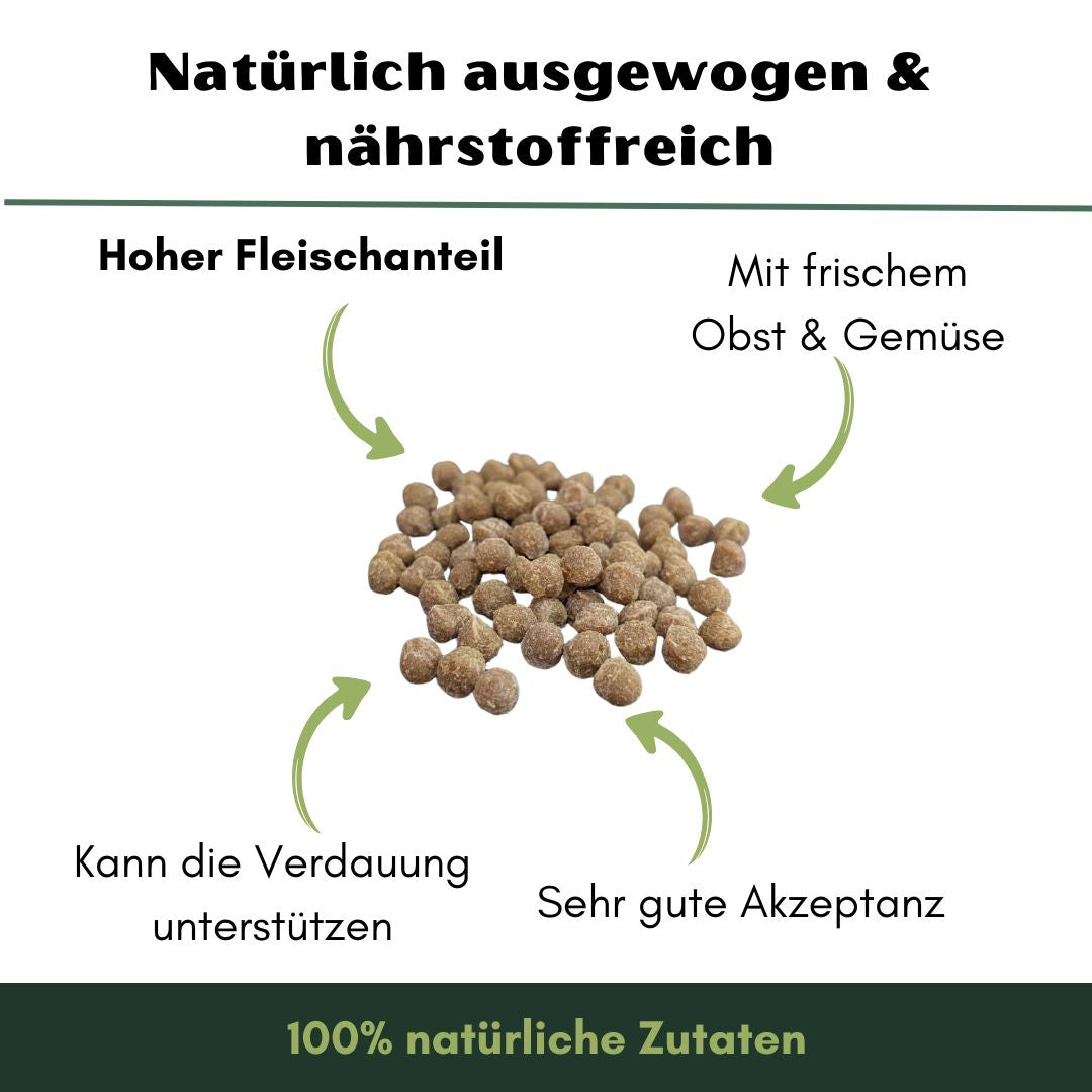 Haufen kleiner runder brauner Trainingsleckerlis (Rinder Vital Softies) auf weißem Hintergrund, Draufsicht