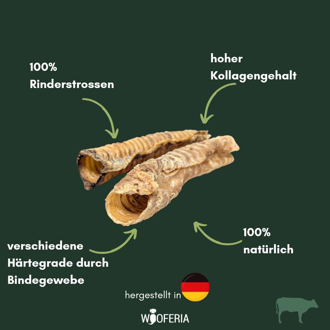 Nahaufnahme zweier beige-brauner Rinderstrossen, gerippte hohle Röhren, Vorderansicht