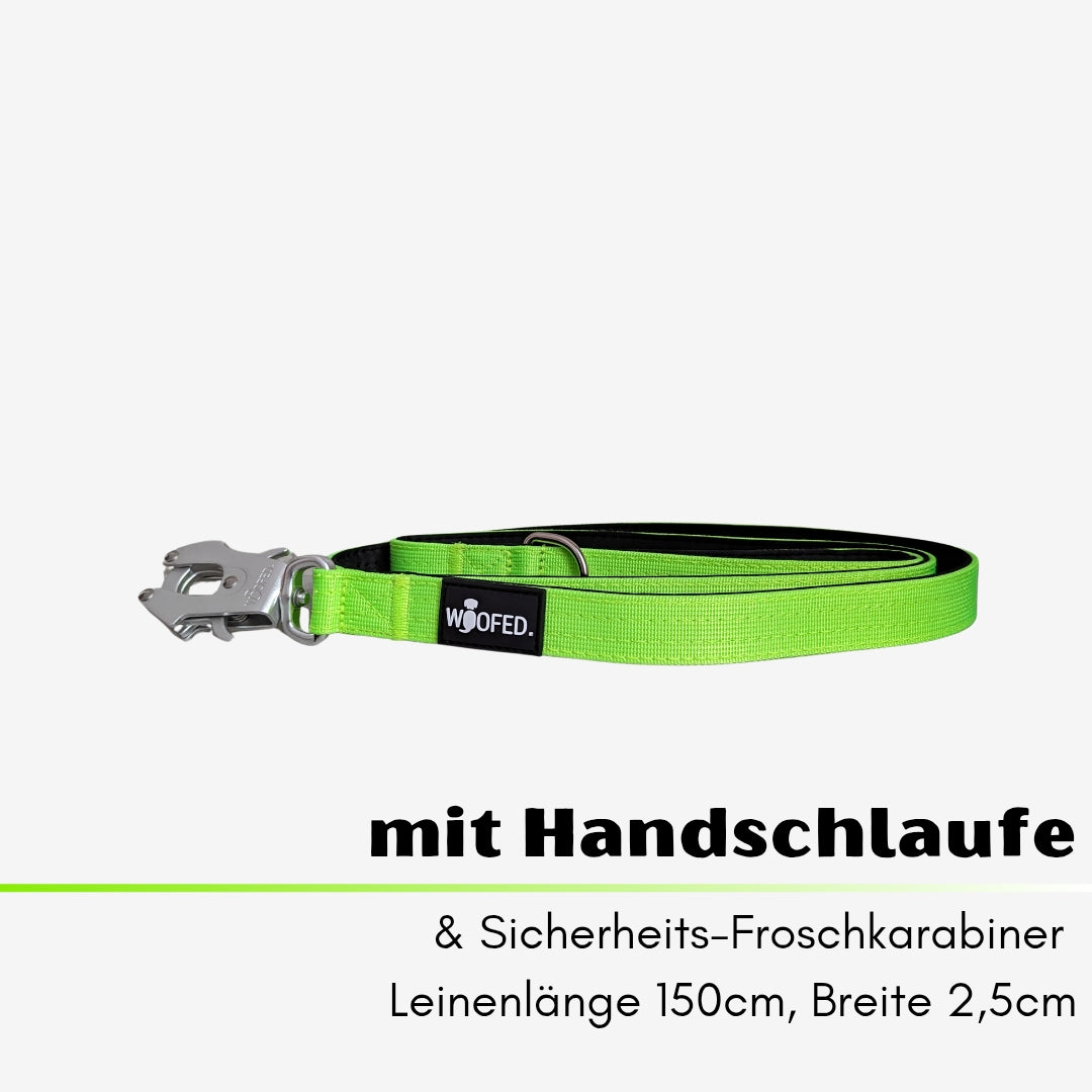 taktische Nylon Führleine Apple Green
