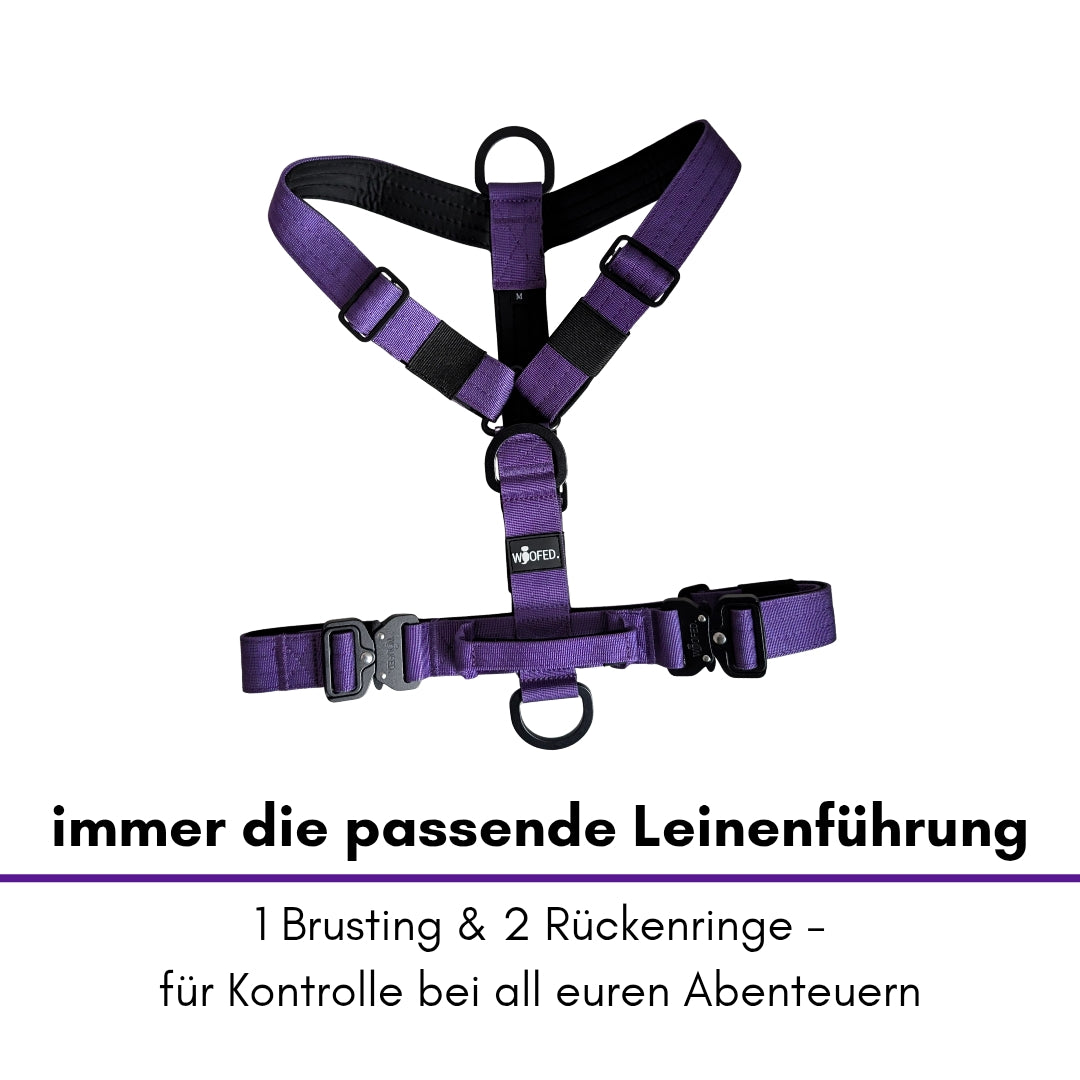 Y-Hundegeschirr 4fach-verstellbar mit Griff und Sicherheitsschnallen Velvet Purple - ultraleicht