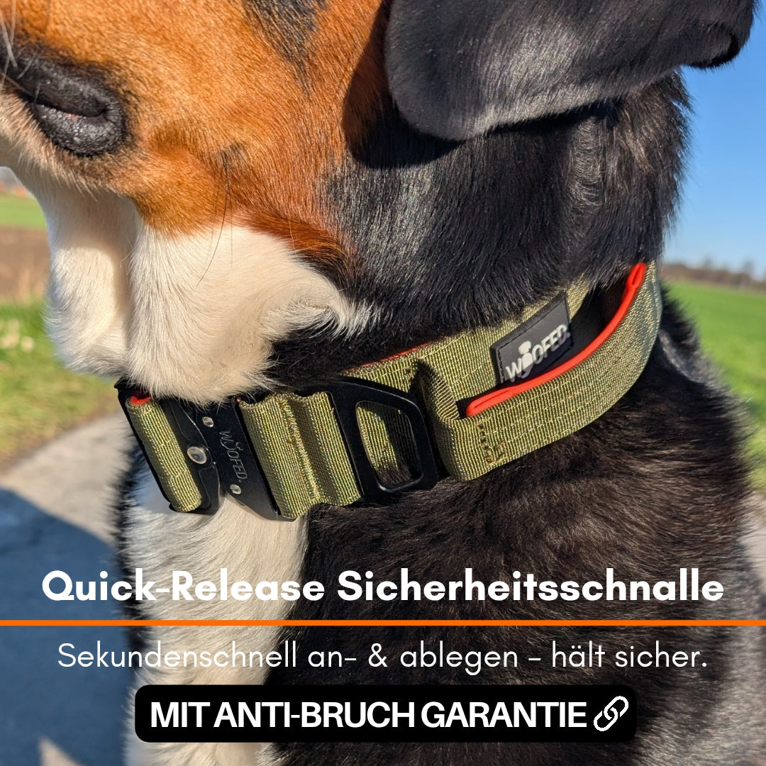 taktisches Nylon Halsband Hunter Glow - ultraleicht