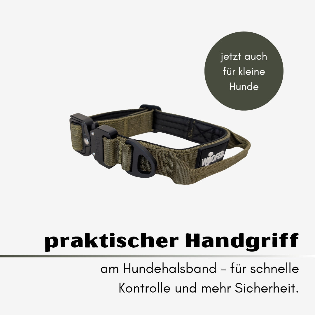 taktisches Nylon Halsband für kleine Hunde Military Olive