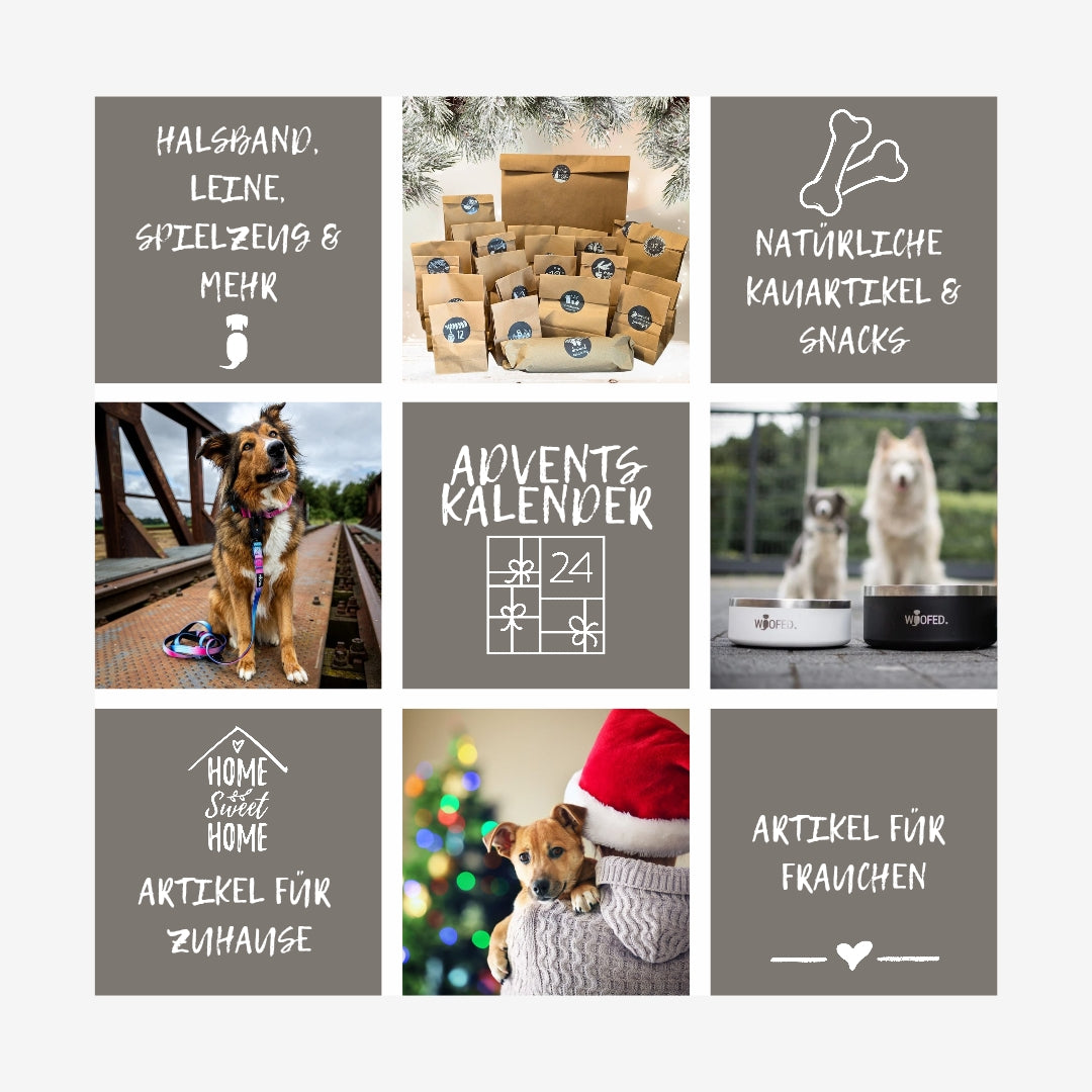 Adventskalender VIP Edition