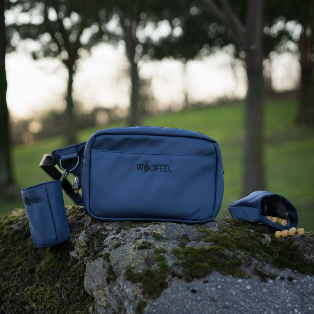 Multifunktionale Gassitasche - 2 in 1 Bauchtasche & Schultertasche Mignight Blue