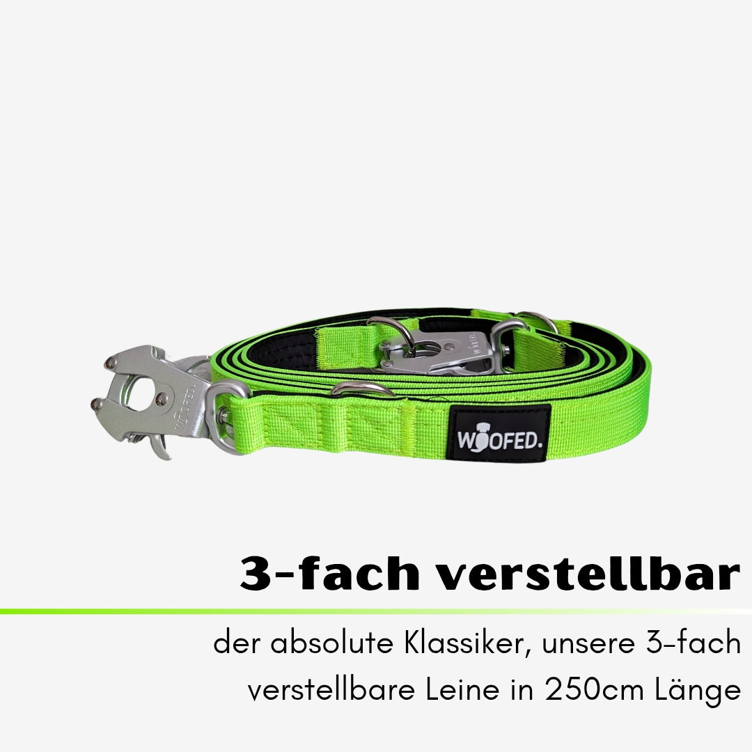 taktische Nylon Führleine Apple Green