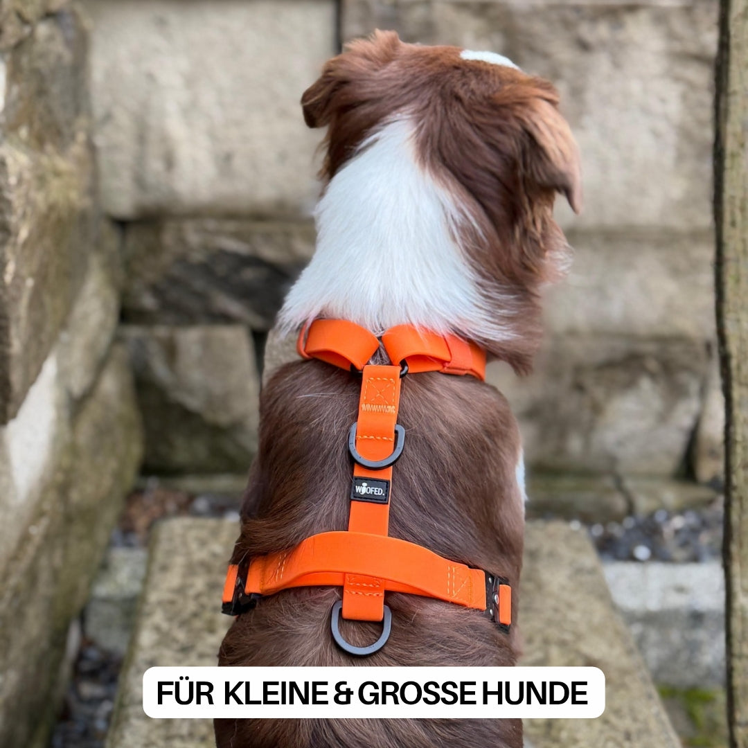 Y-Hundegeschirr WOOFLEX® 4fach-verstellbar mit Griff und Sicherheitsschnallen Sunset Orange - wasserfest