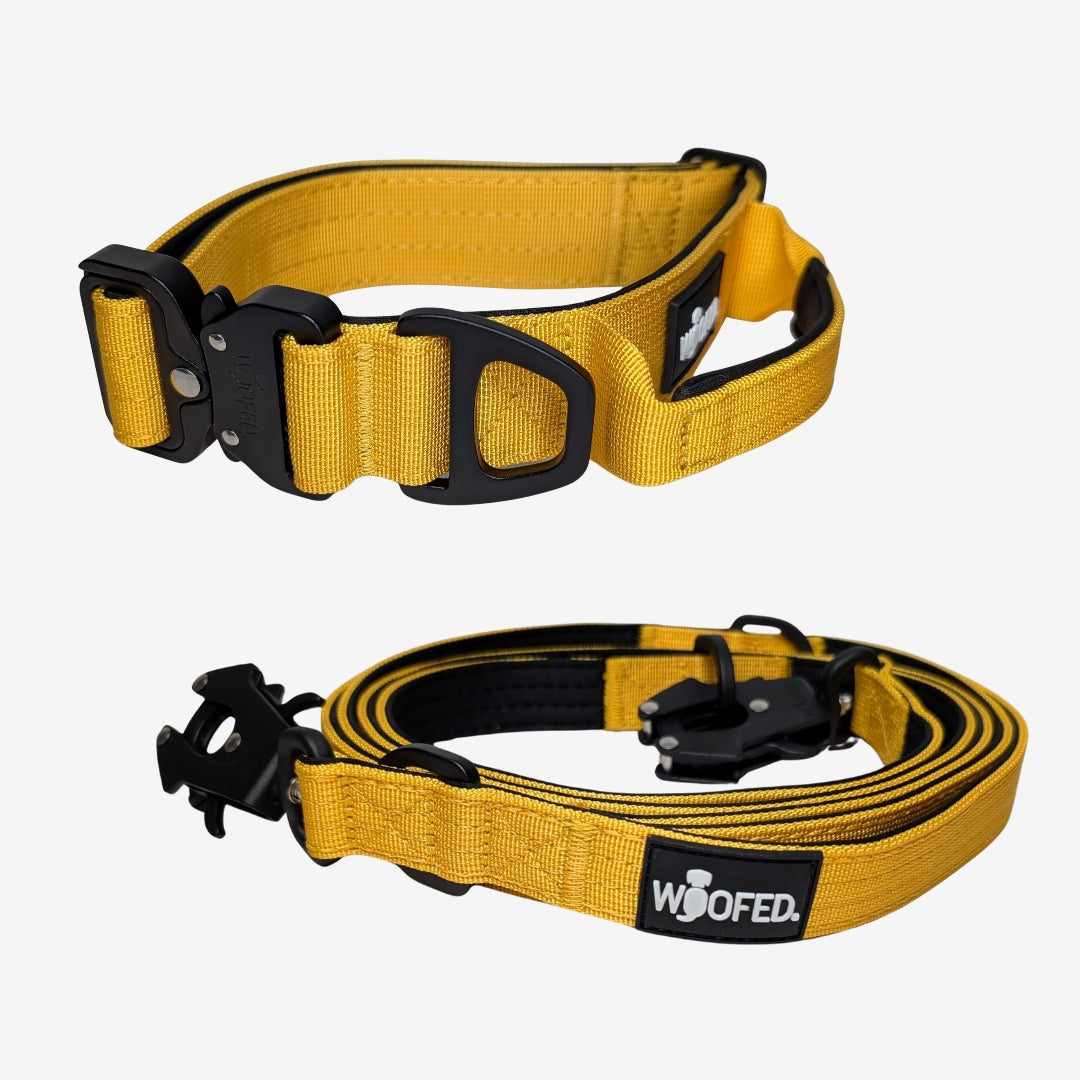 Nylon Halsband-Leine-Set Sunset Yellow ultraleicht