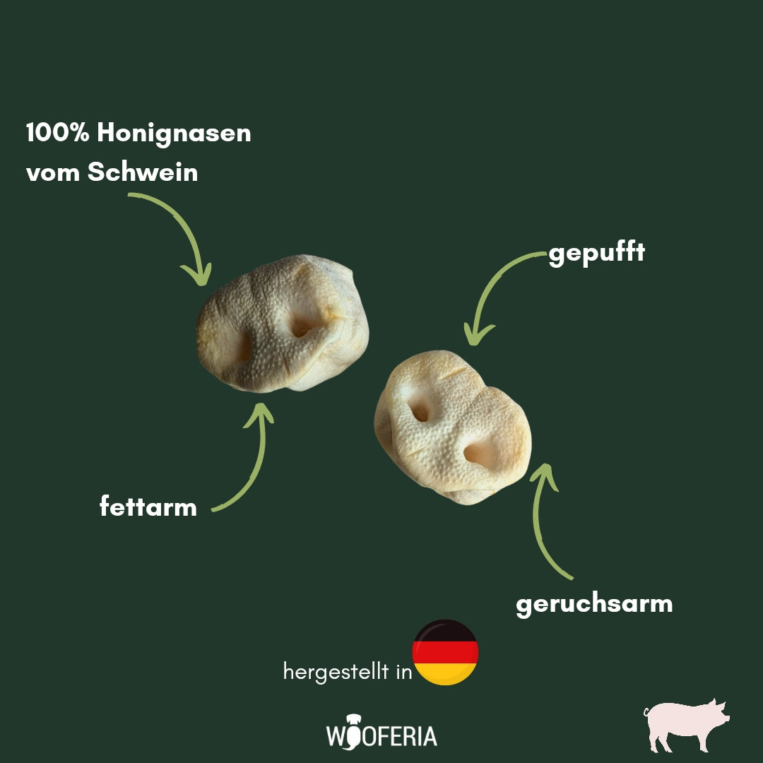 Schweinenasen XL gepufft (Honignasen)