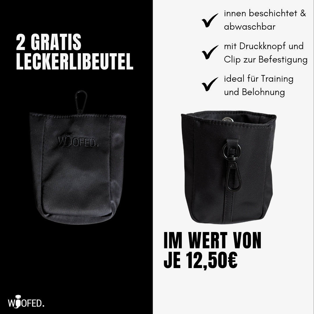 Multifunktionale Gassitasche - 2 in 1 Bauchtasche & Schultertasche Schwarz