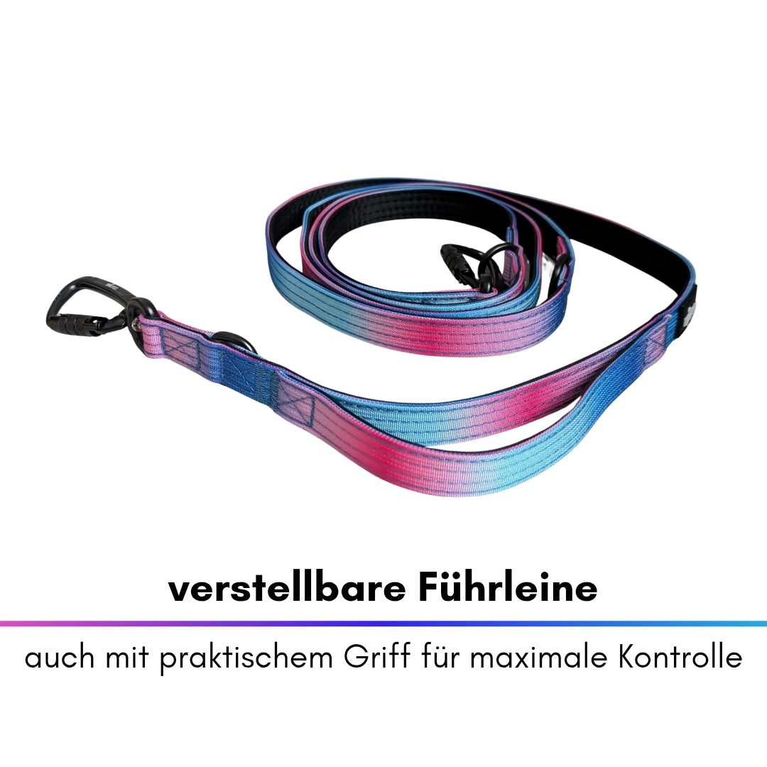 Nylon Pro Führleine Pink Blue Sky