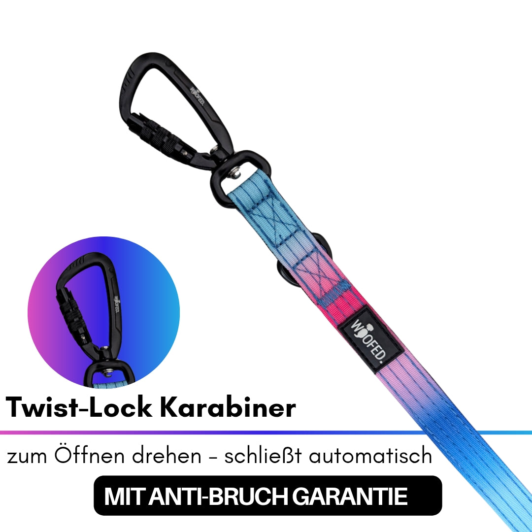 Nylon Pro Führleine Pink Blue Sky