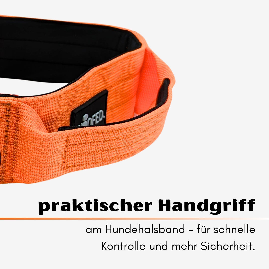 Nylon Tactical Collar Safety Orange