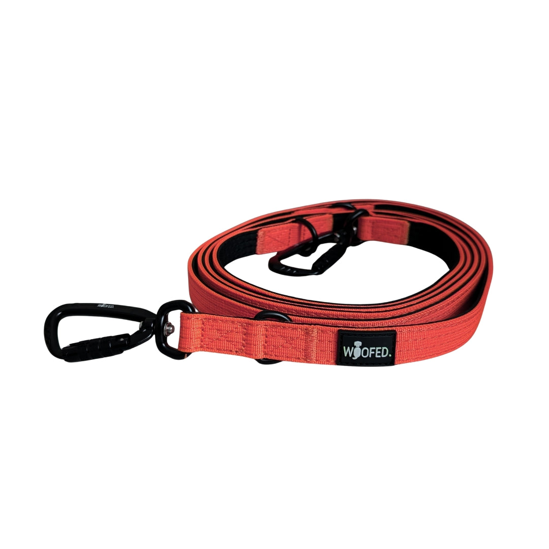 Nylon Pro Führleine Rosso Red