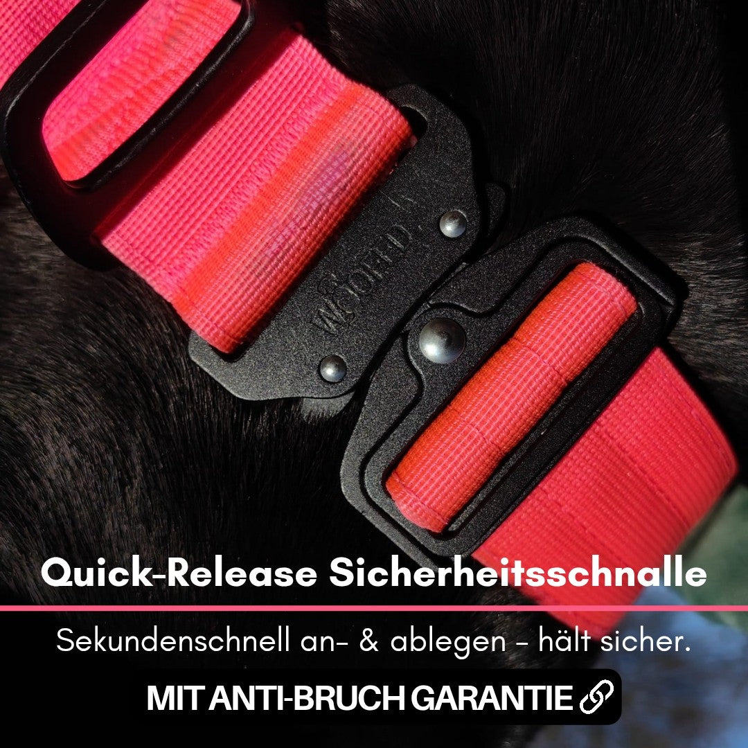 taktisches Nylon Halsband Pink Bloom - ultraleicht