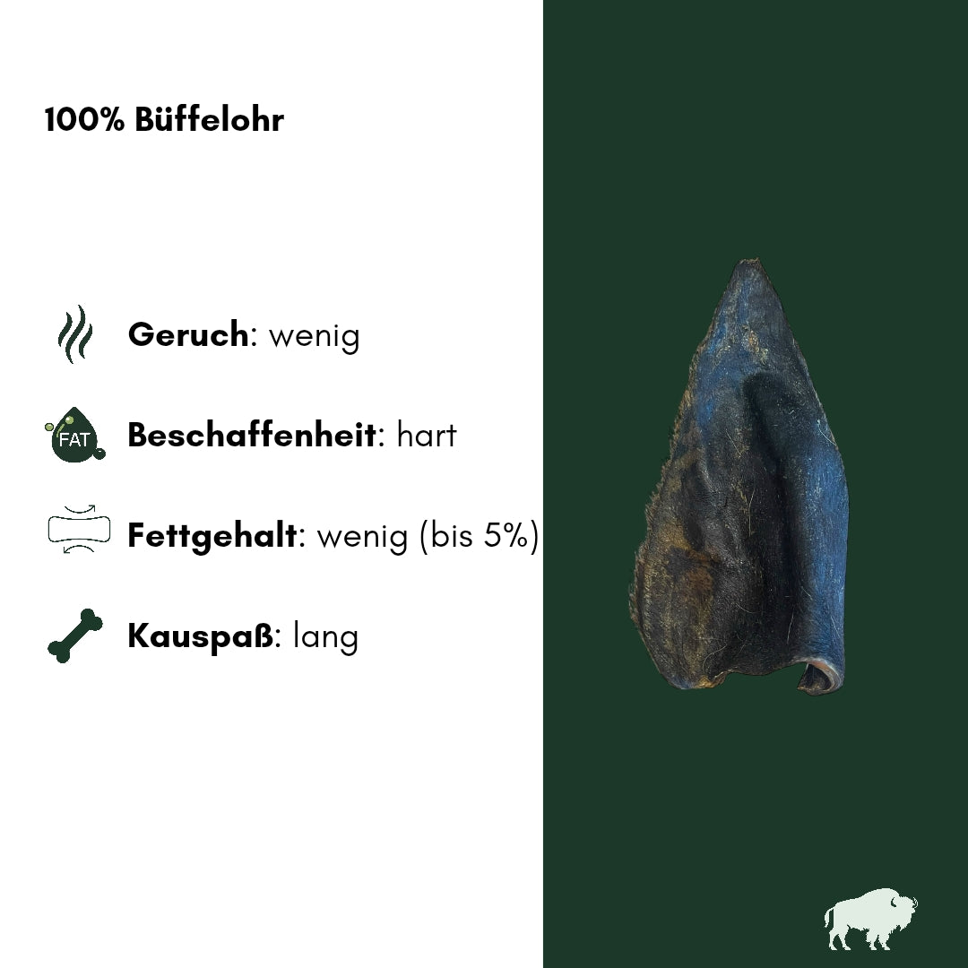 Getrocknetes Büffelohr mit Fell, dunkelbraun, seitliche Nahaufnahme auf dunkelgrünem Hintergrund