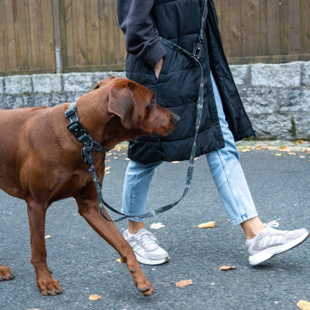 Führleine WOOFLEX® Tactical verstellbar Woodland Camo