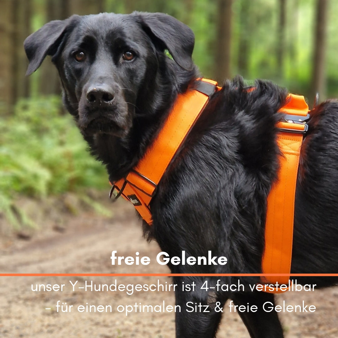 Y-Hundegeschirr 4fach-verstellbar mit Griff und Sicherheitsschnallen Safety Orange - ultraleicht