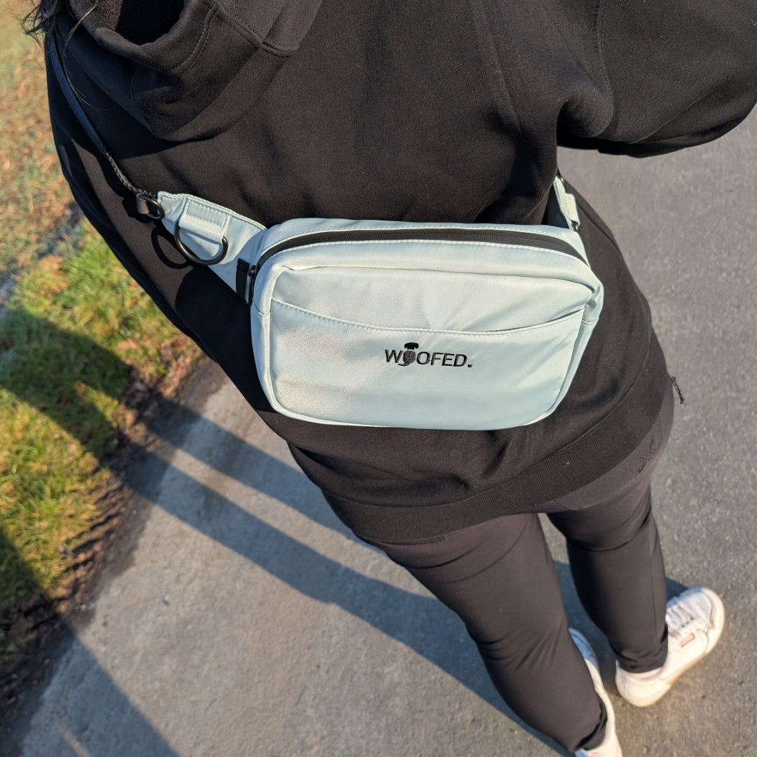 Multifunktionale Gassitasche - 2 in 1 Bauchtasche & Schultertasche Sage