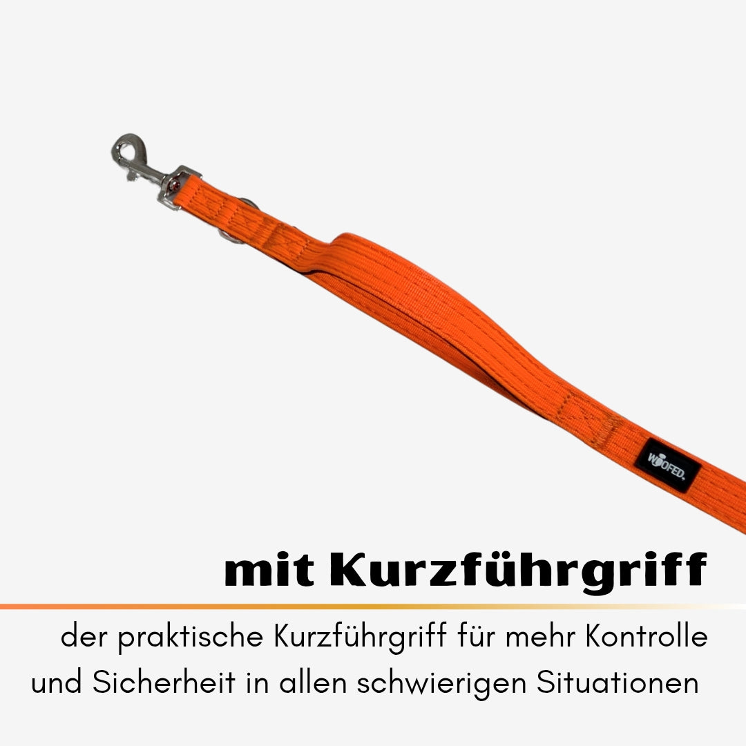 Nylon Classic Führleine Safety Orange mit Kurzführgriff