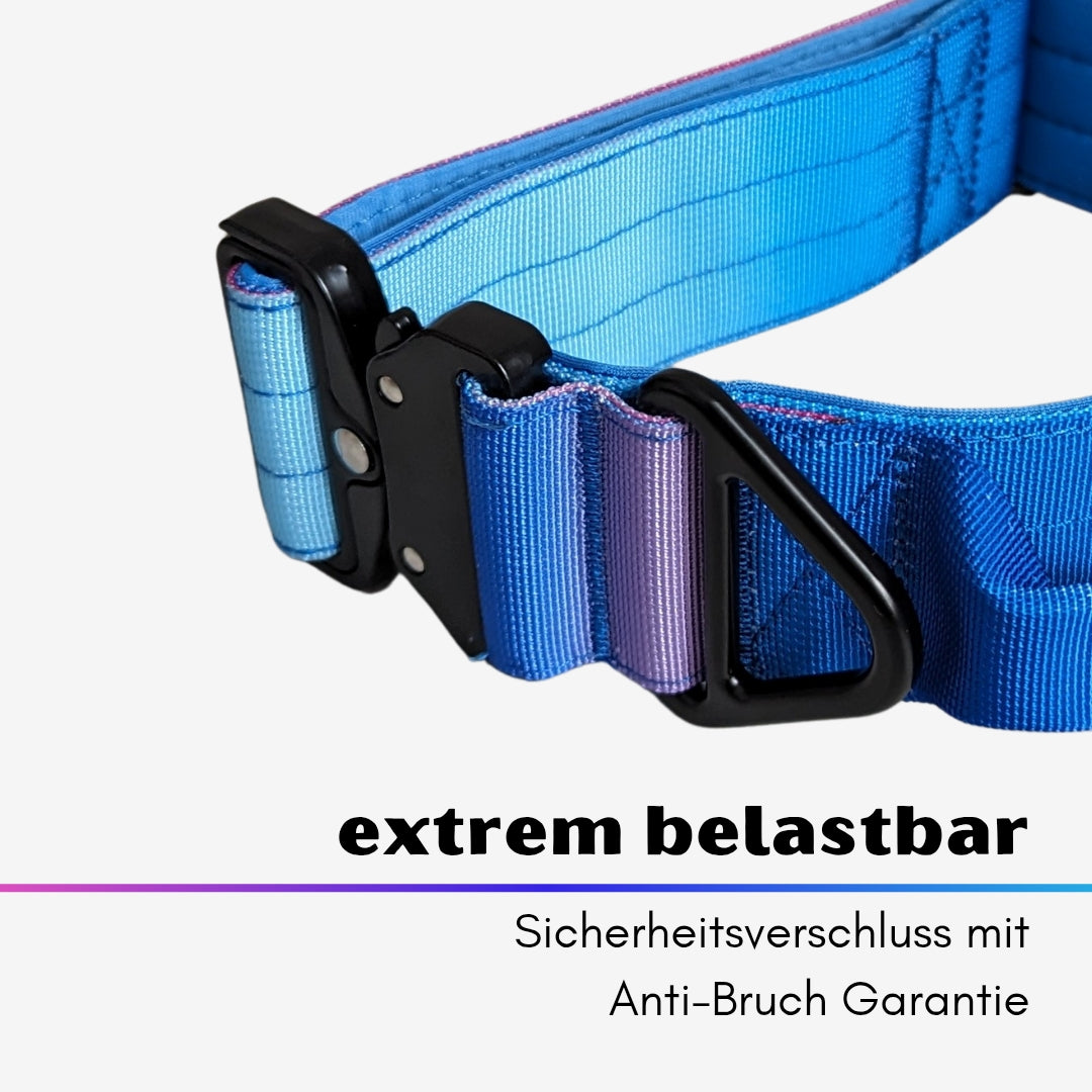 taktisches Nylon Halsband Pink Blue Sky