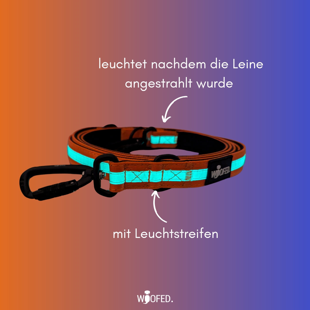 Nylon Führleine Safety Lock Orange Glow