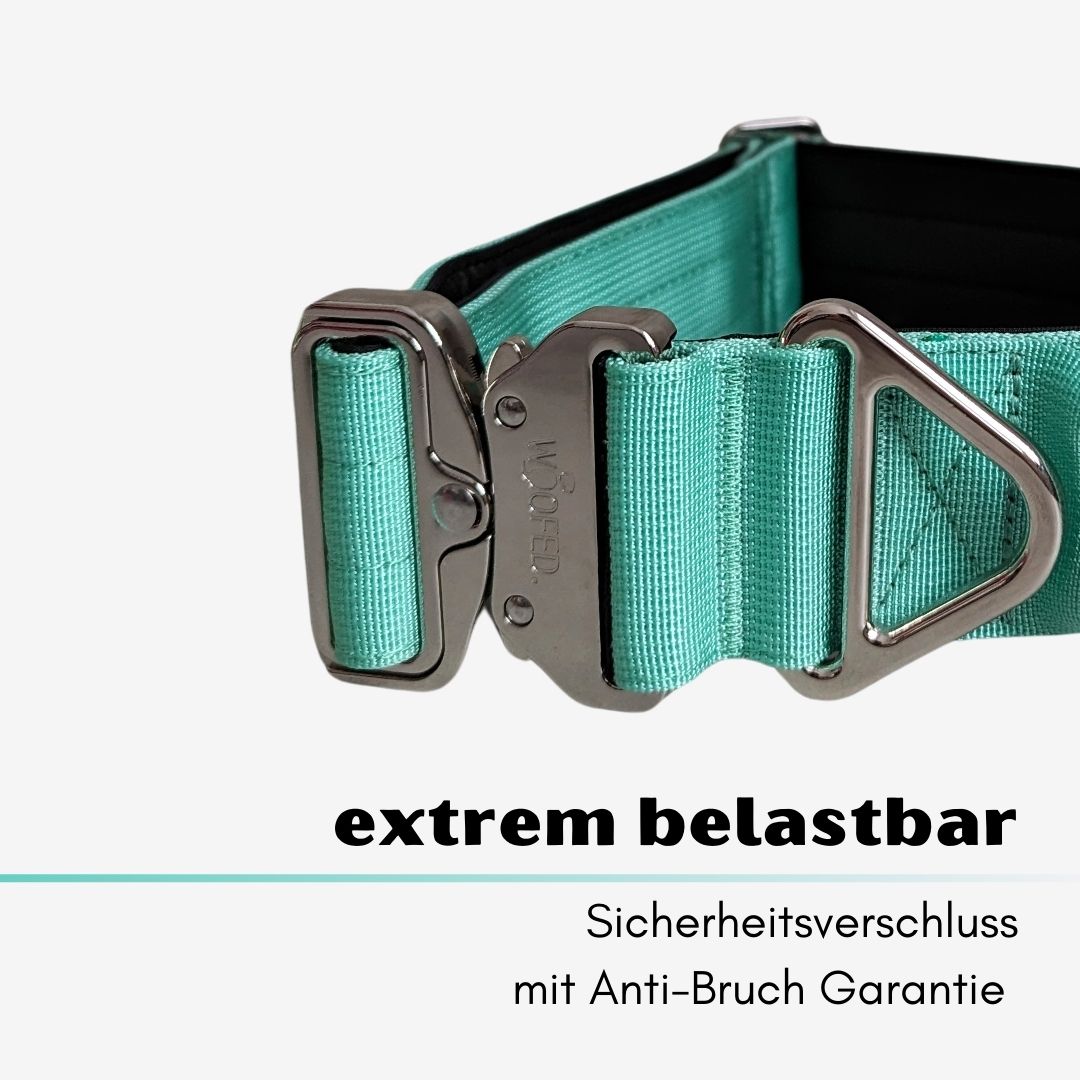 taktisches Nylon Halsband Seafoam
