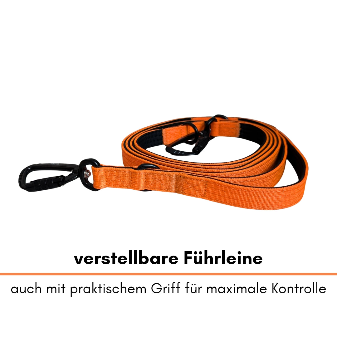 Nylon Pro Führleine Safety Orange