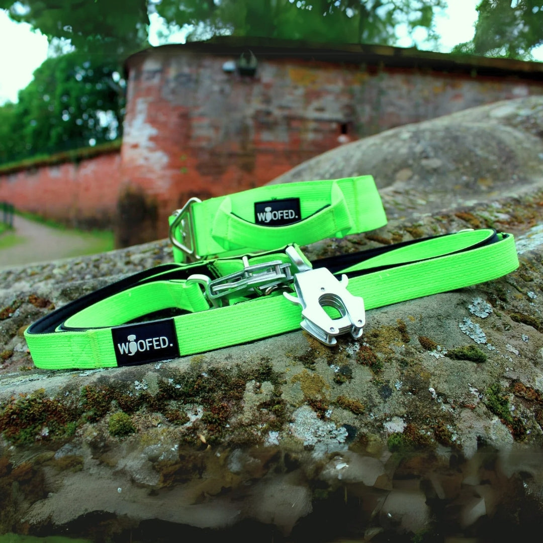 taktisches Nylon Halsband Apple Green