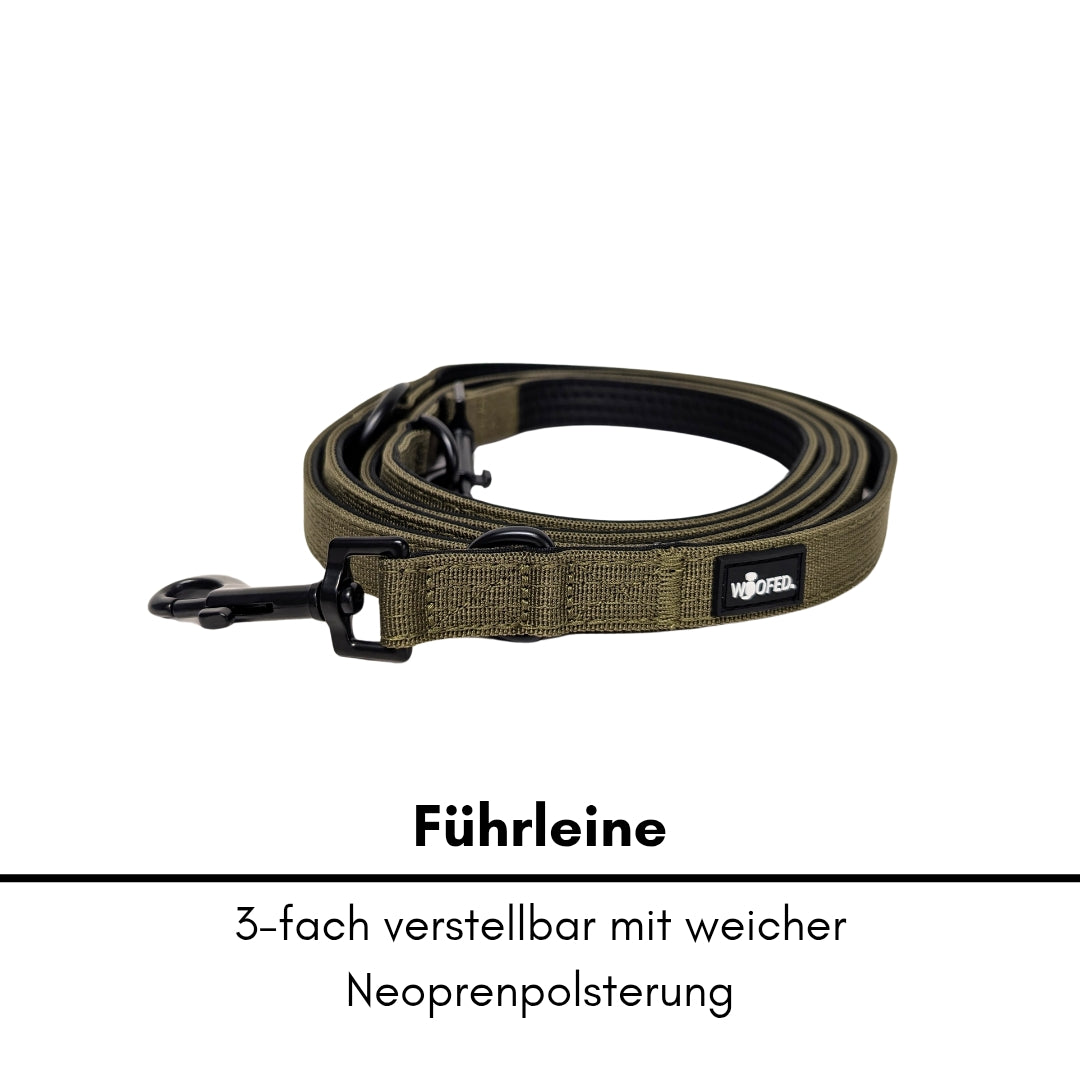 Nylon Classic Führleine Military Olive