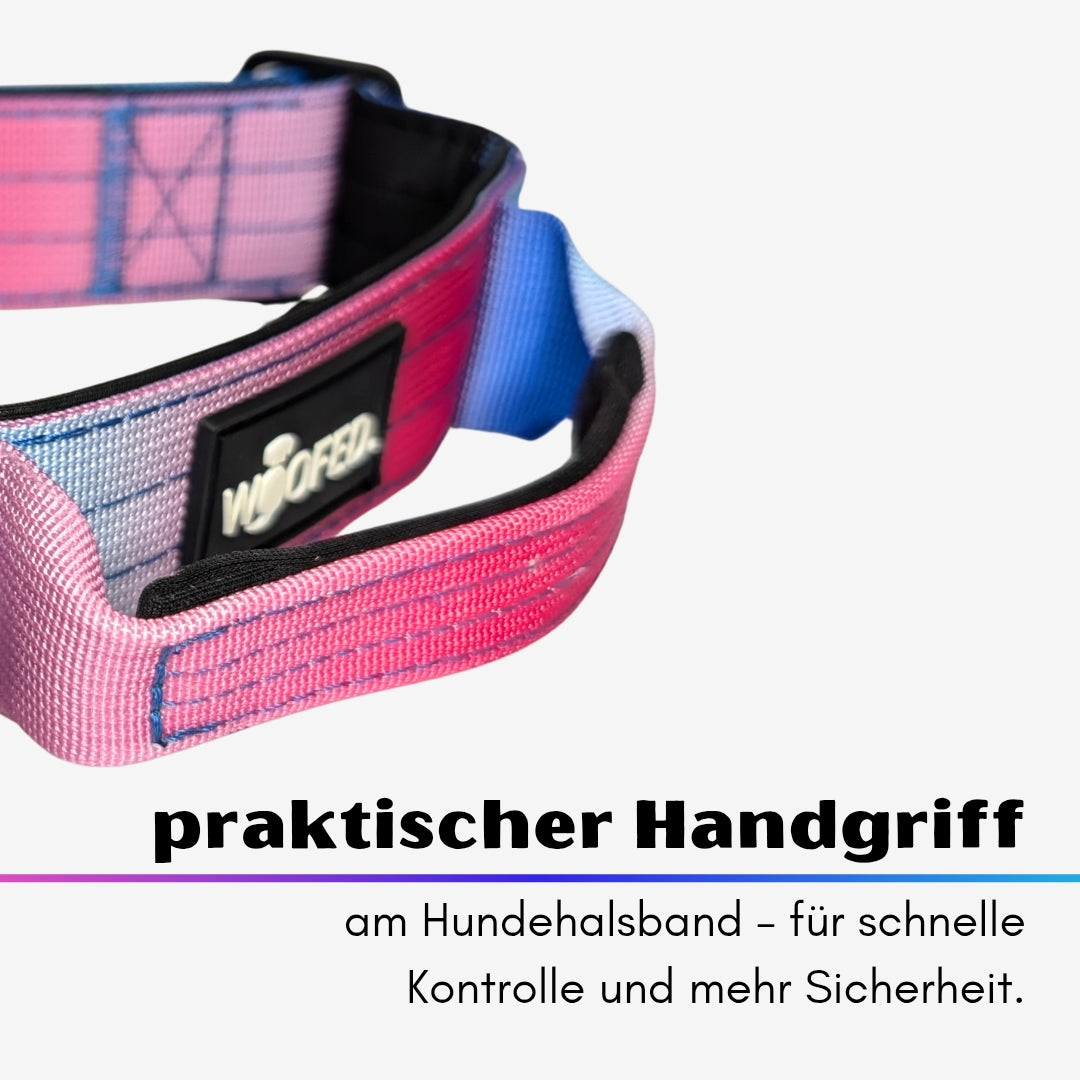 taktisches Nylon Halsband Pink Blue Sky - ultraleicht
