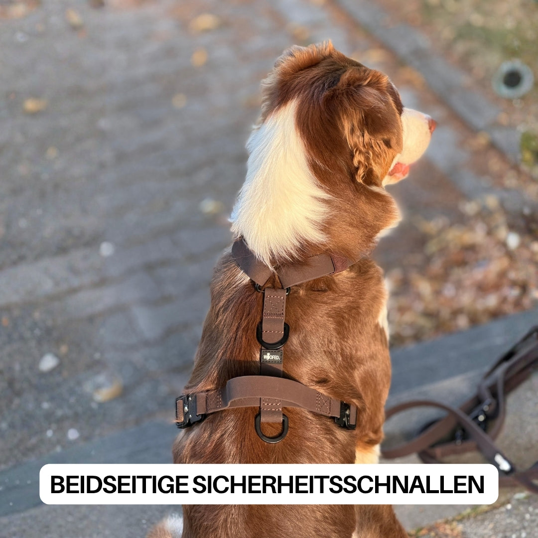 Y-Hundegeschirr WOOFLEX® 4fach-verstellbar mit Griff und Sicherheitsschnallen Espresso - wasserfest
