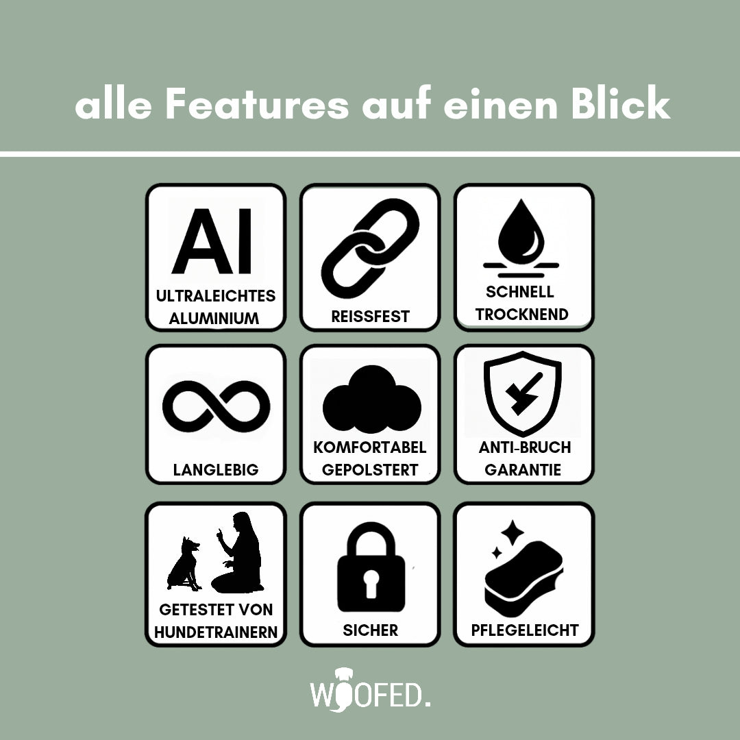 taktisches Nylon Halsband für kleine Hunde Sage Green