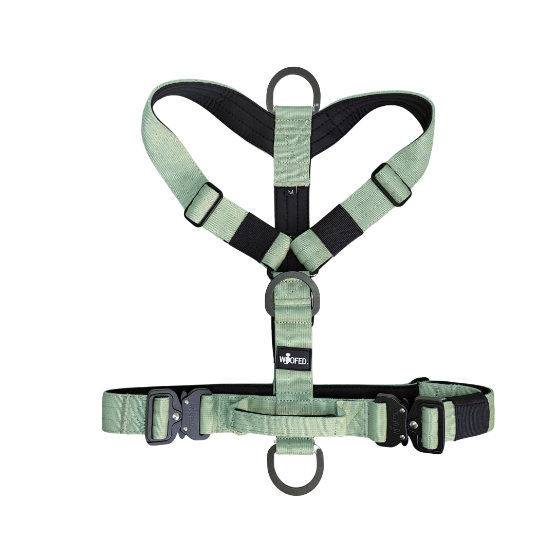 Y-Hundegeschirr 4fach-verstellbar mit Griff und Sicherheitsschnallen Sage Green - ultraleicht