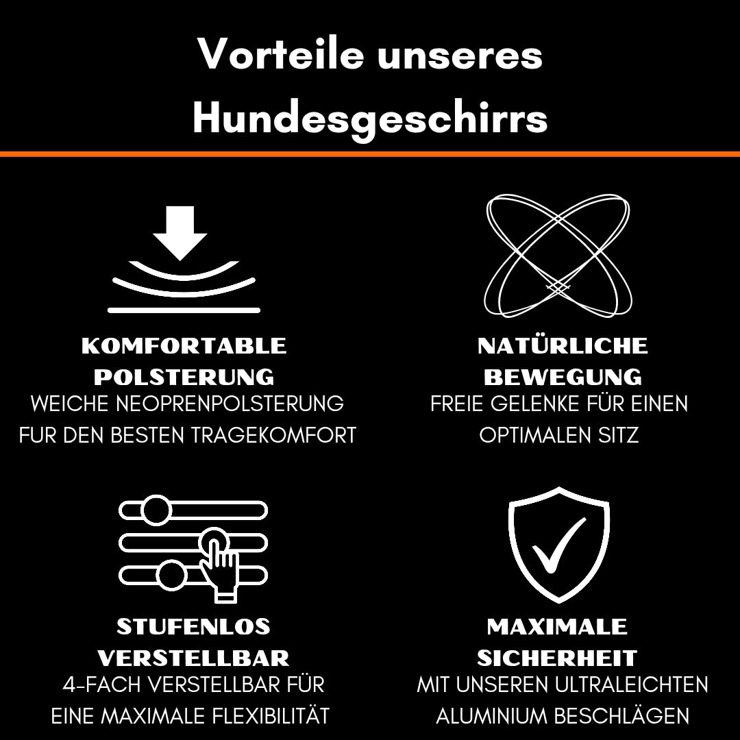 Schwarzes Infoplakat mit weißen Icons und oranger Linie: Vorteile des Hundegeschirrs — Polsterung, natürliche Bewegung, stuf