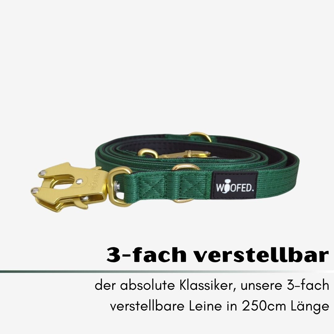 taktische Nylon Führleine Emerald Green