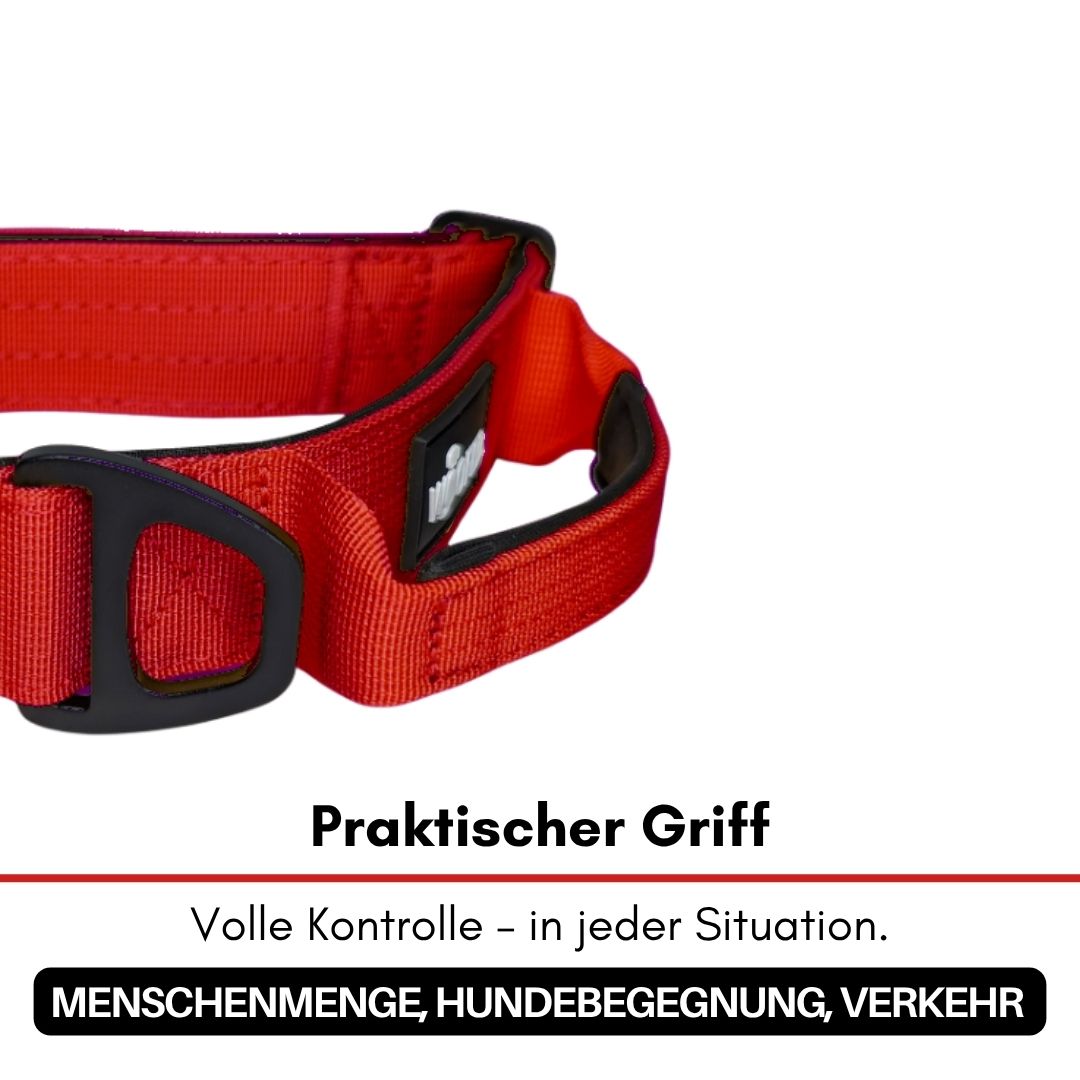 taktisches Nylon Halsband Rosso Red - ultraleicht
