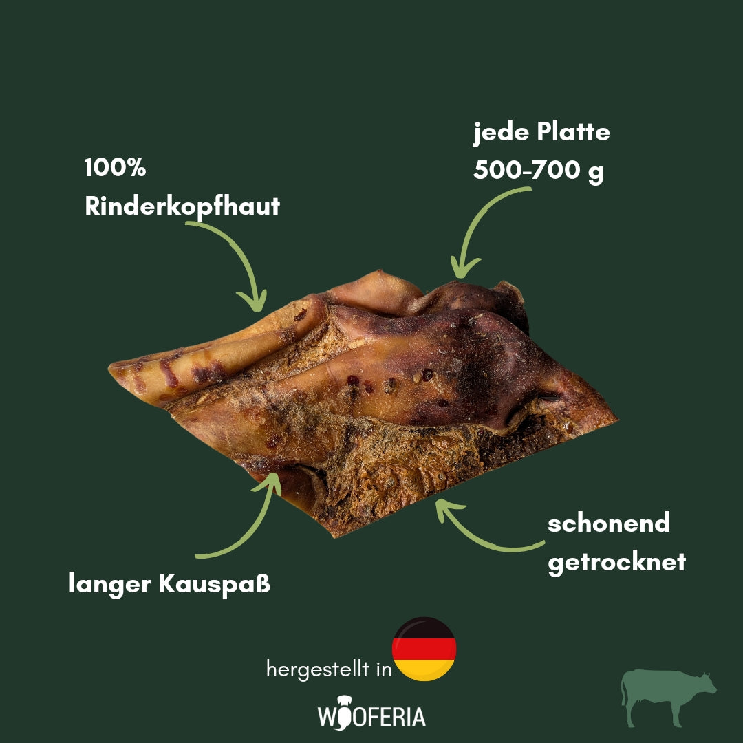 Getrocknete, dunkelbraune Rinderkopfhaut-Platte in unregelmäßiger, flacher Form, Nahaufnahme auf dunkelgrünem Hintergrund