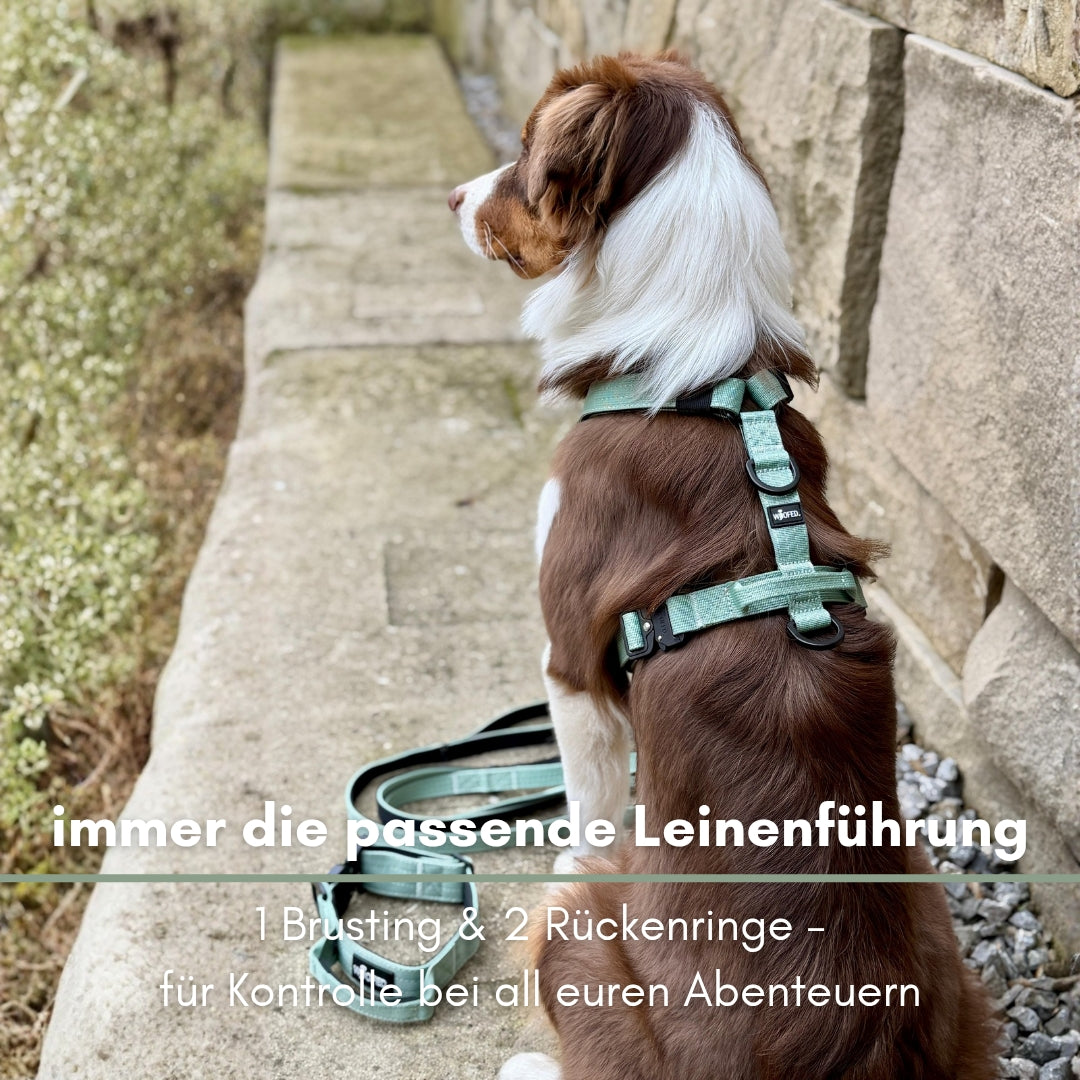 Y-Hundegeschirr 4fach-verstellbar mit Griff und Sicherheitsschnallen Sage Green - ultraleicht