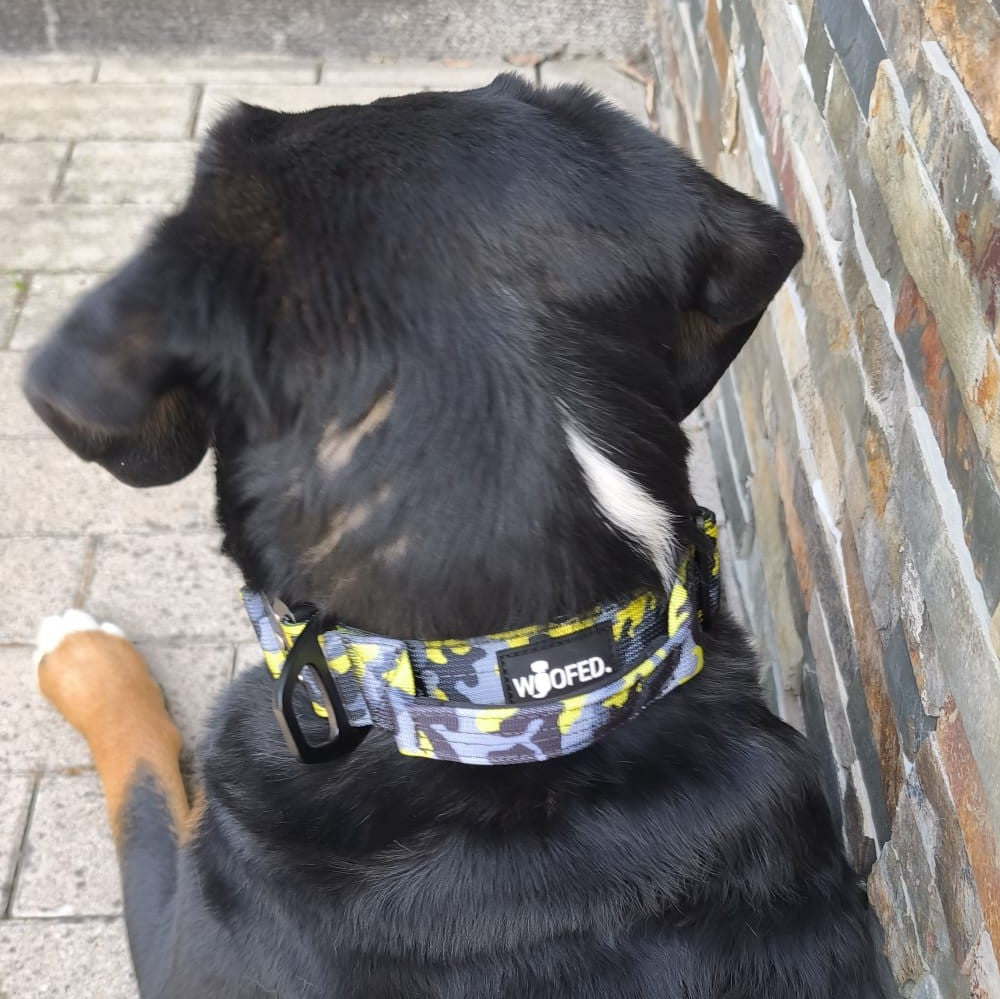 taktisches Nylon Halsband Yellow Camo ultraleicht