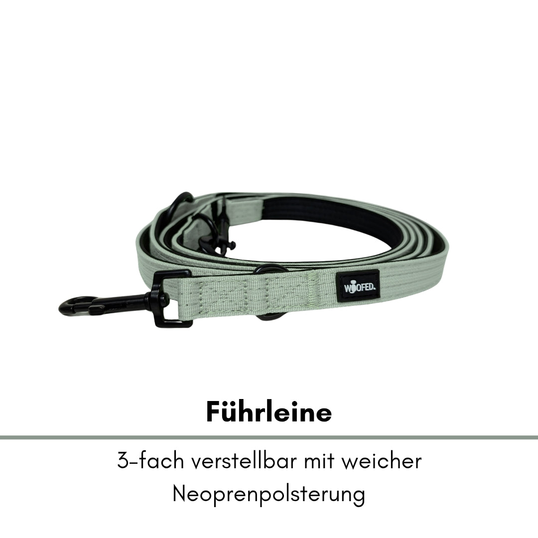 Nylon Classic Führleine Sage Green