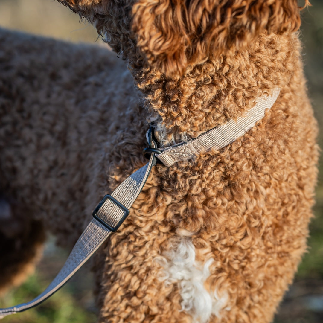 Nylon Retrieverleine verstellbar Desert Tan