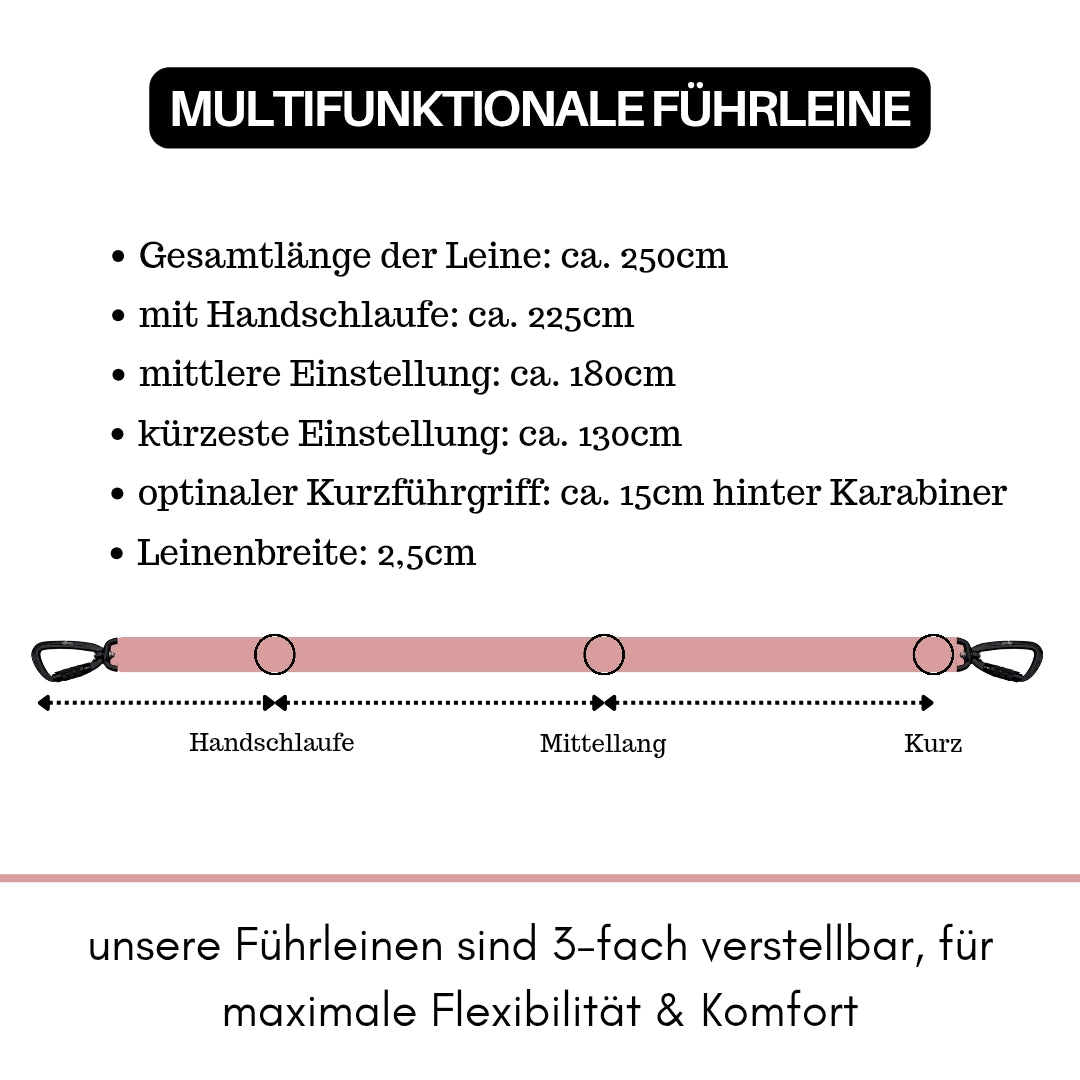 Nylon Pro Führleine Dusty Rose