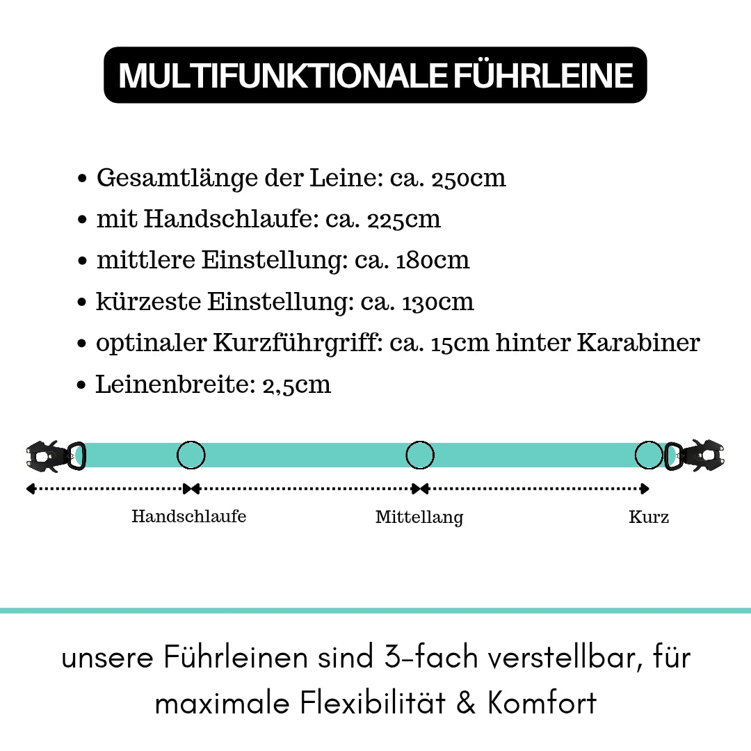 taktische Nylon Führleine Seafoam