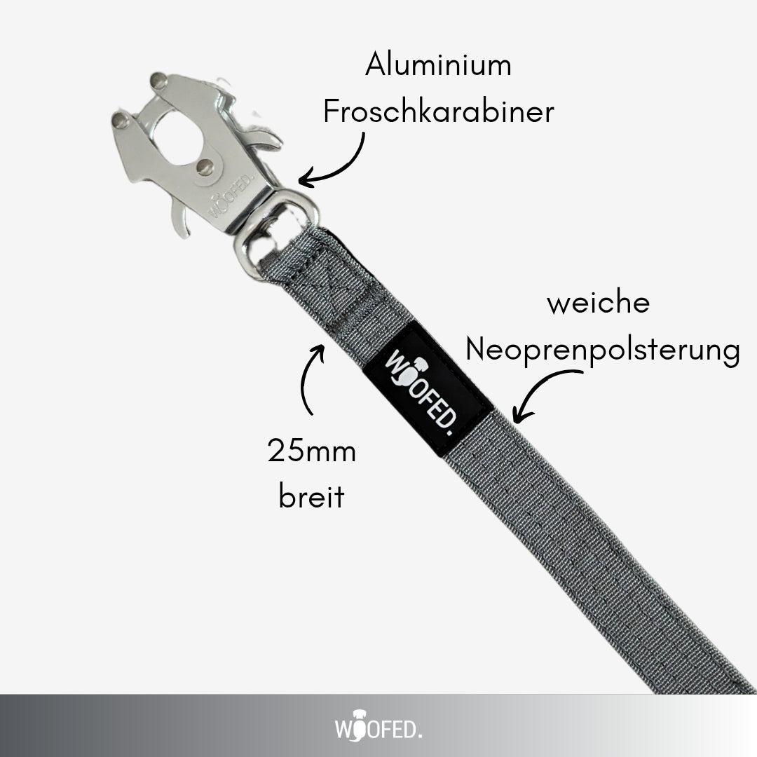 taktische Nylon Führleine Silver Grey