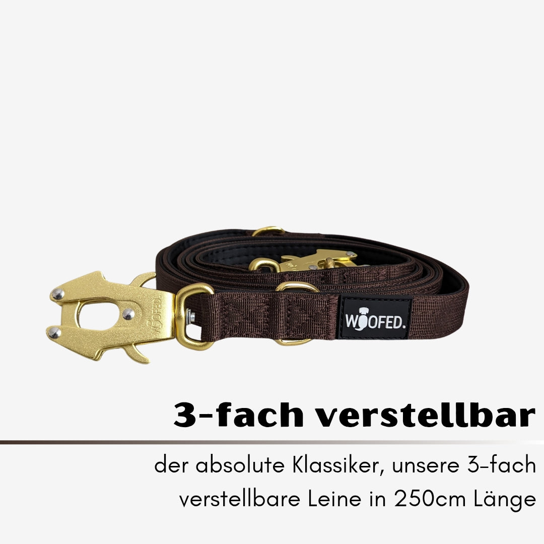 taktische Nylon Führleine Dark Brown