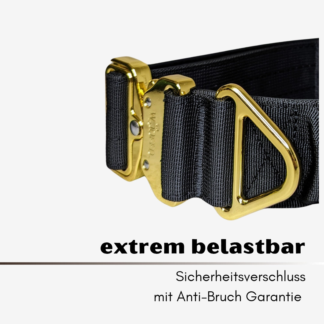 taktisches Nylon Halsband Black Gold