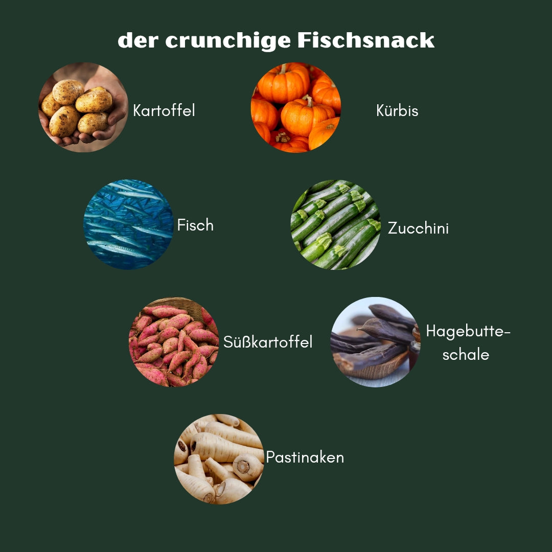 Fisch Trainingssnack