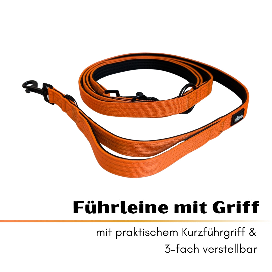 Nylon Classic Halsband-Leine-Set Safety Orange