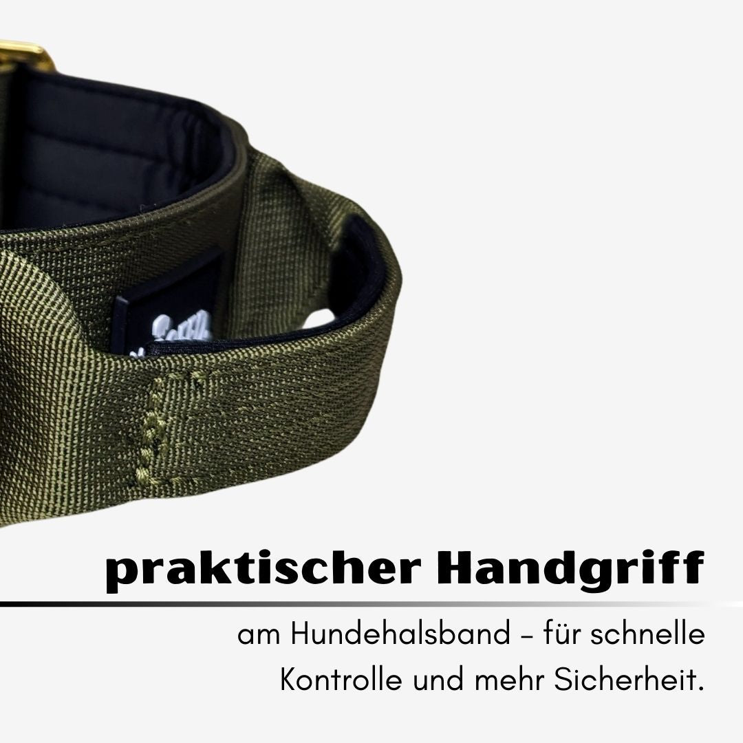 taktisches Nylon Halsband Noble Olive